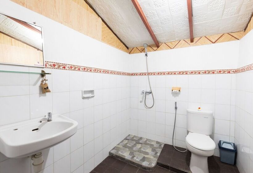 פנסיון Suastika Lodge