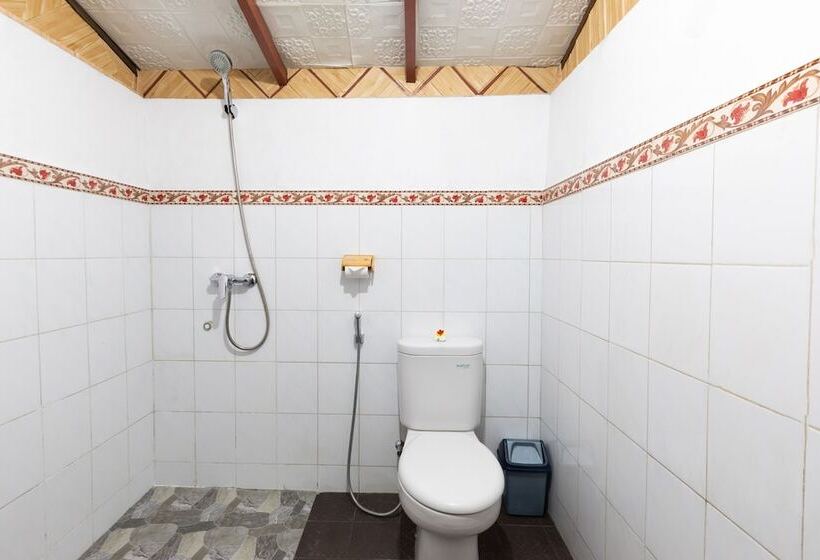 פנסיון Suastika Lodge