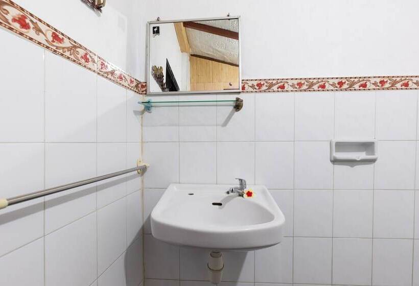 פנסיון Suastika Lodge