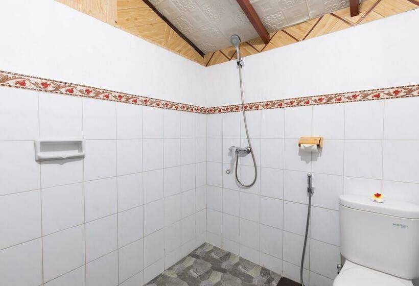 פנסיון Suastika Lodge