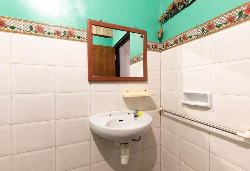 פנסיון Suastika Lodge