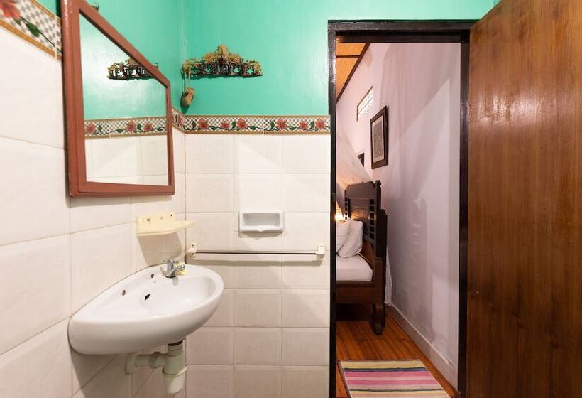 פנסיון Suastika Lodge