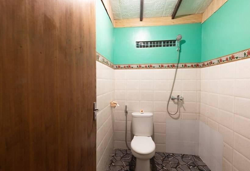 פנסיון Suastika Lodge