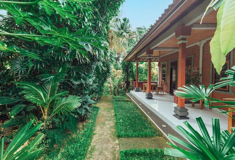 פנסיון Suastika Lodge