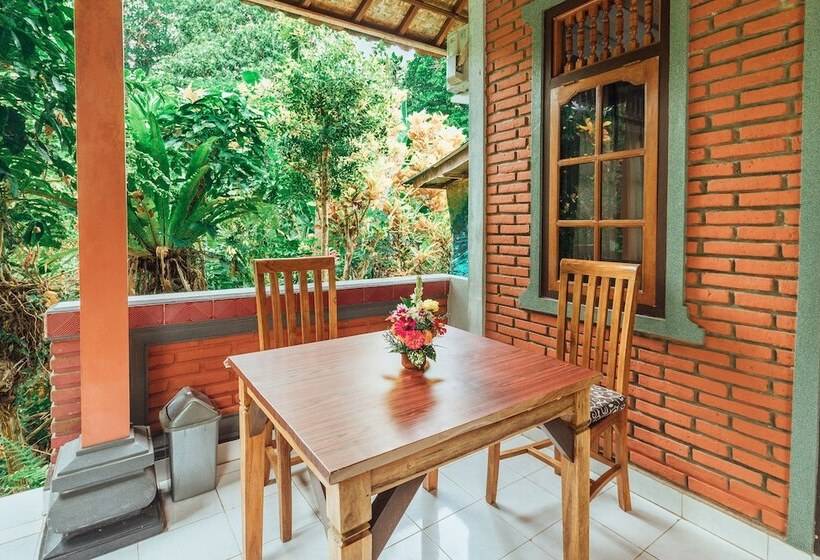 פנסיון Suastika Lodge