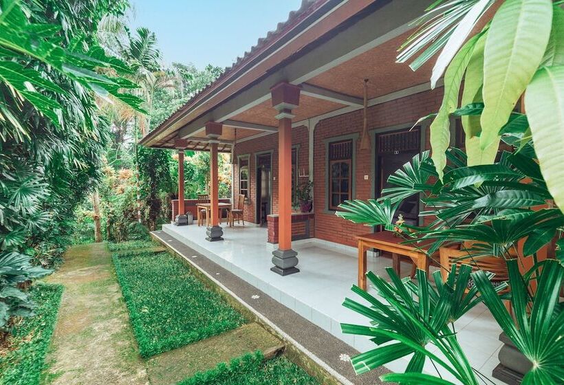 פנסיון Suastika Lodge