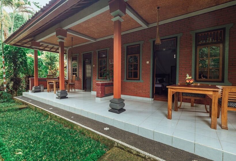 פנסיון Suastika Lodge