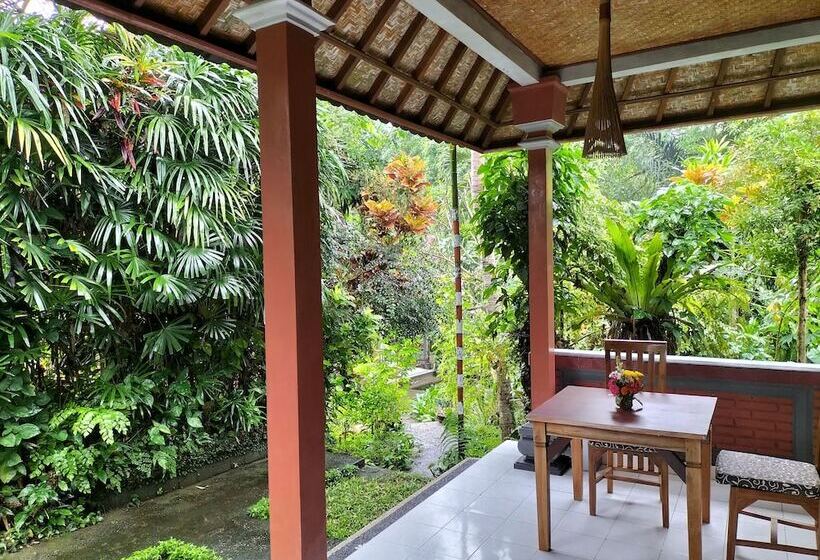 פנסיון Suastika Lodge