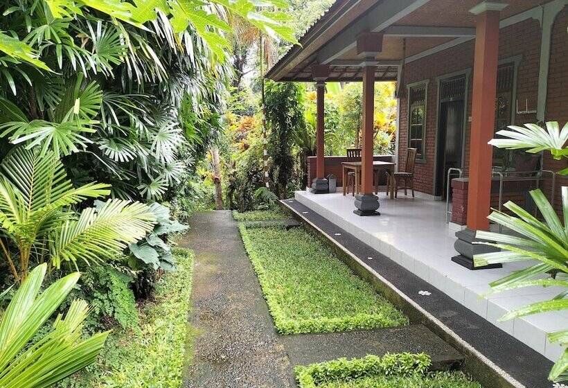 פנסיון Suastika Lodge