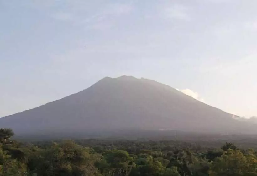 Segara Tegeh Hostel