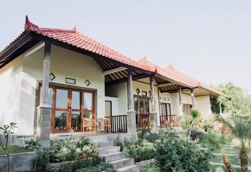 Segara Tegeh Hostel