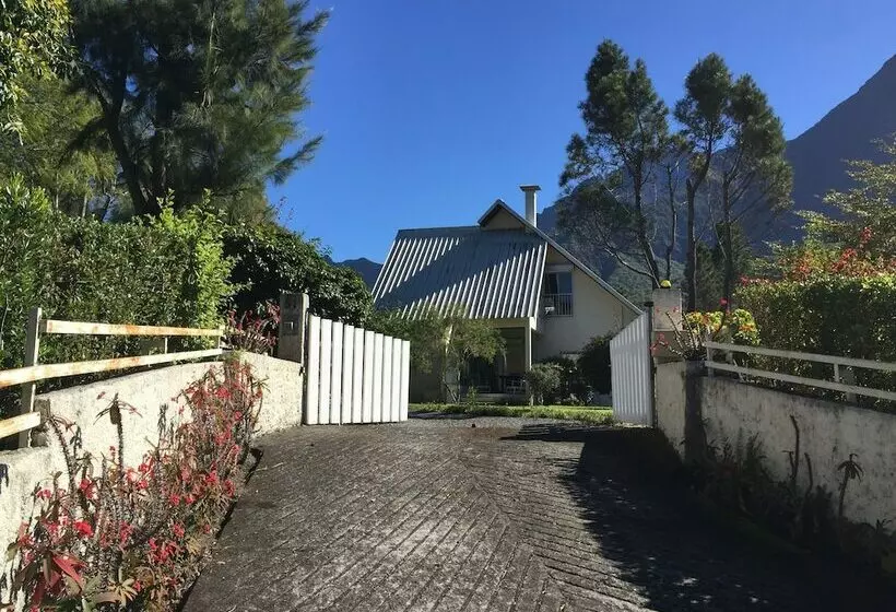 Studio Platane