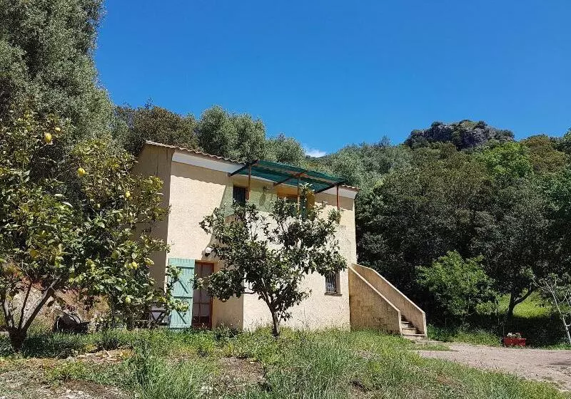 تختخواب و صبحانه A Casa Di L'alivu