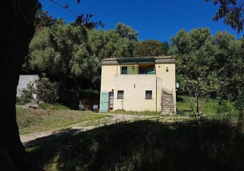 تختخواب و صبحانه A Casa Di L'alivu