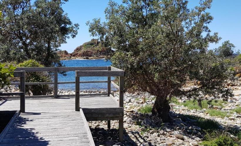 Bellbird Cottage B&b