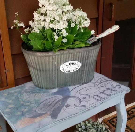 Bellbird Cottage B&b