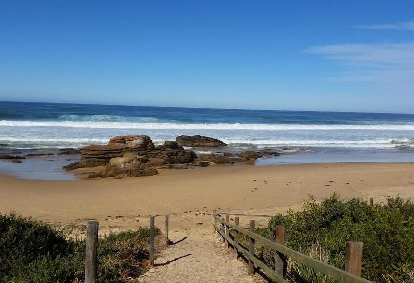 Bellbird Cottage B&b