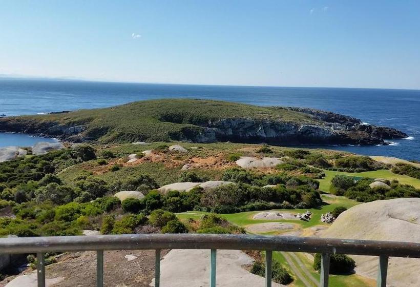 Bellbird Cottage B&b