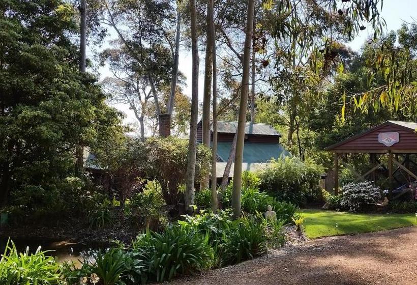 Bellbird Cottage B&b