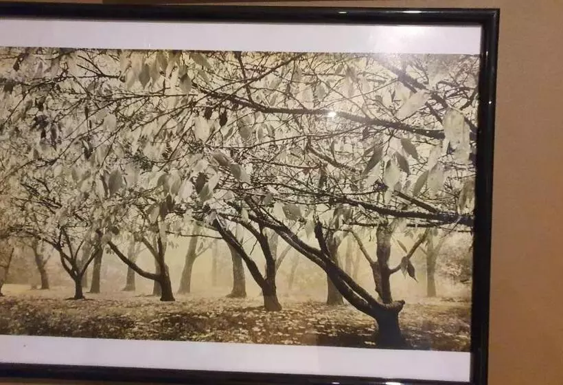 Bowral Road Art Gallery Bed And Breakfast