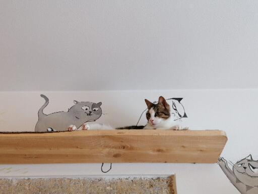 فندق Albergo Alle Alpi