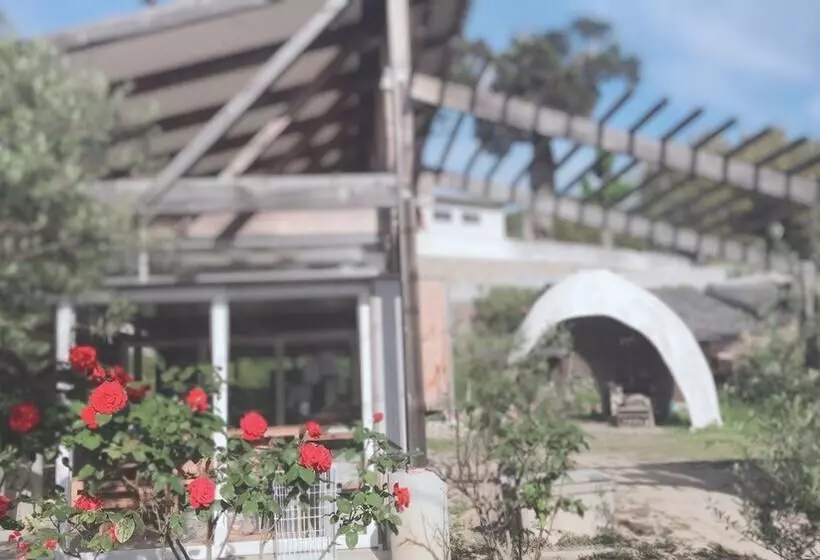 ホテル Shodoshima International