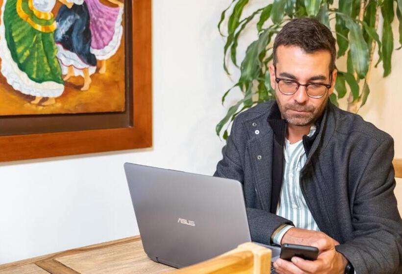 هتل Virrey Central