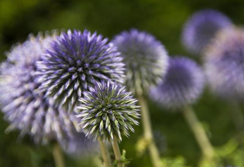 ベッドアンドブレックファースト Kennebec Inn