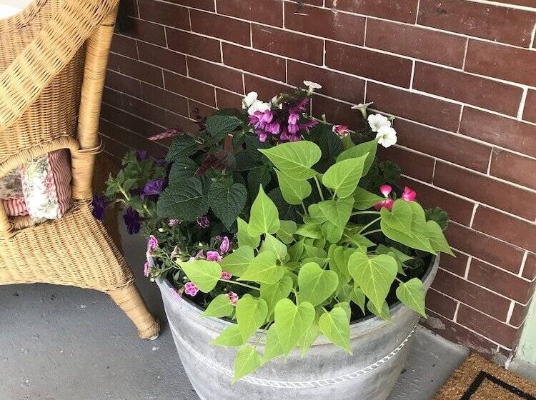 The Nauvoo Grand Bed & Breakfast