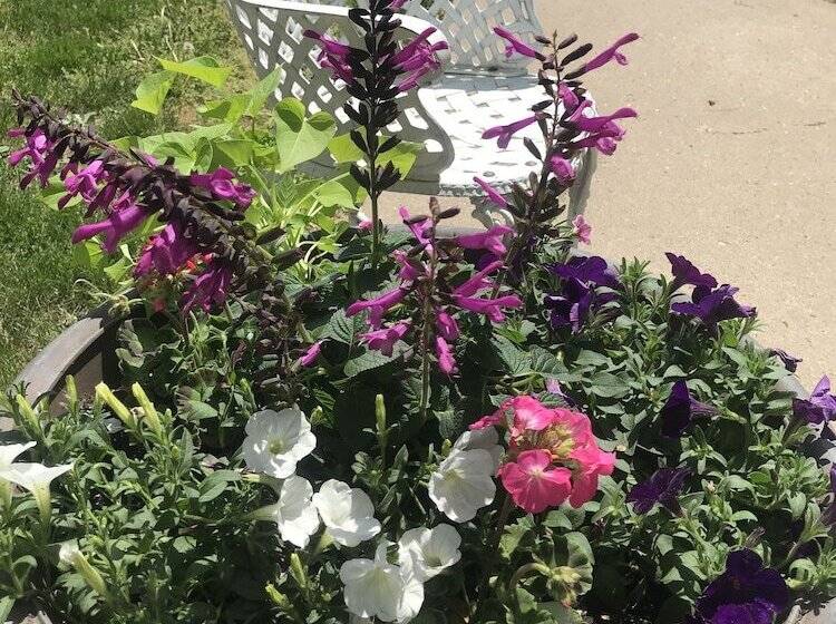 The Nauvoo Grand Bed & Breakfast