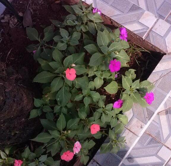 Petit Hotel Caraguata