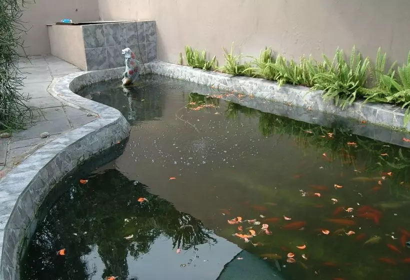 تختخواب و صبحانه Rainbird B And B