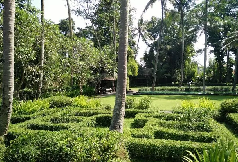 Villa Puri Tupai