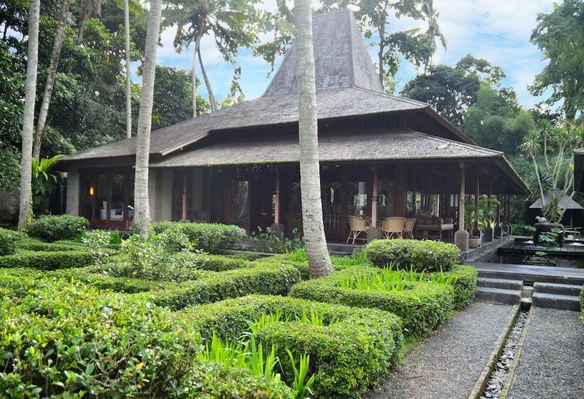 Villa Puri Tupai