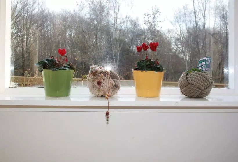 Baldiesburn Bed & Breakfast