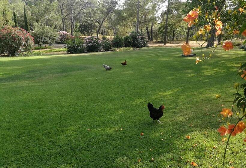 צימר La Genestière