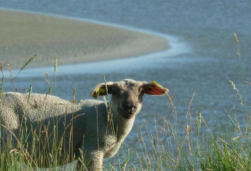 مبيت وإفطار Les Bruyères Du Mont