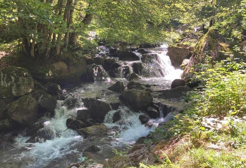 هتل Le Château Brangoly