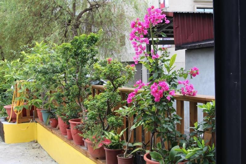 تختخواب و صبحانه Sara S House