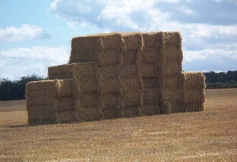 Bridge Farm Holiday Cottages