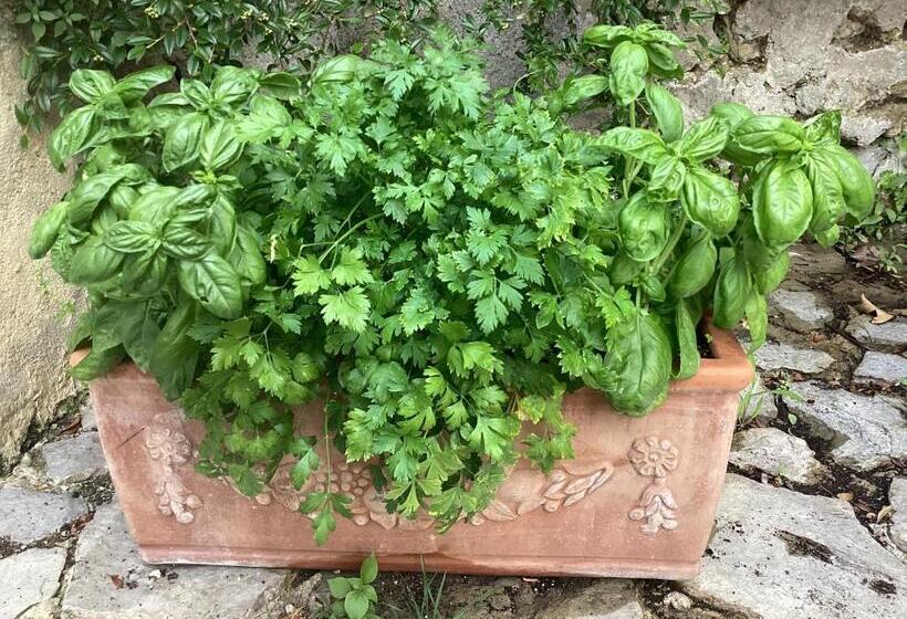 هتل Al Borgo Torello