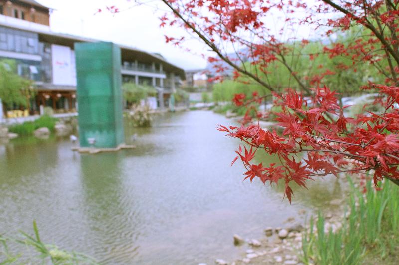 בית מלון כפרי Holiday Inn Express Emei Mountain, An Ihg