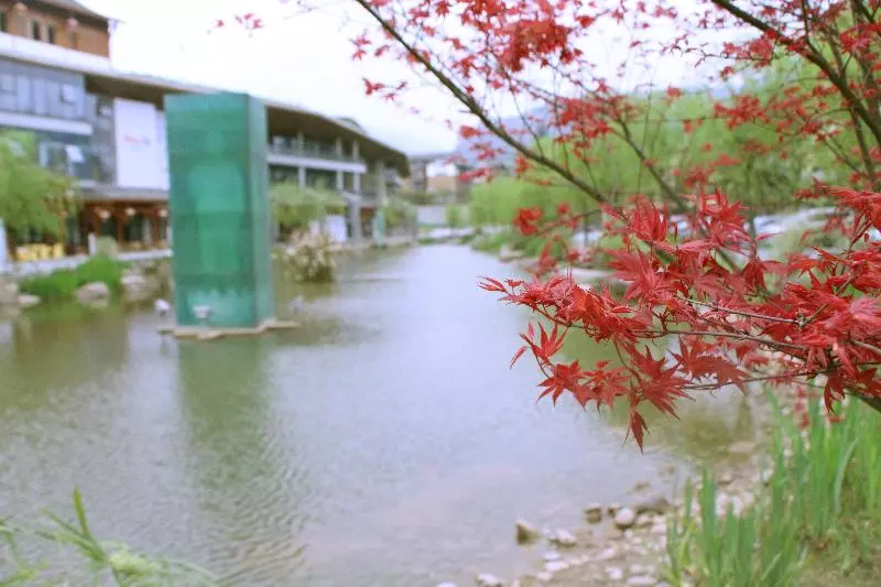 ホテル Holiday Inn Express Emei Mountain, An Ihg