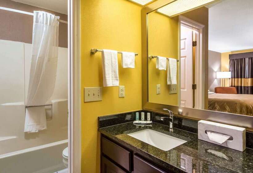 ホテル Quality Inn