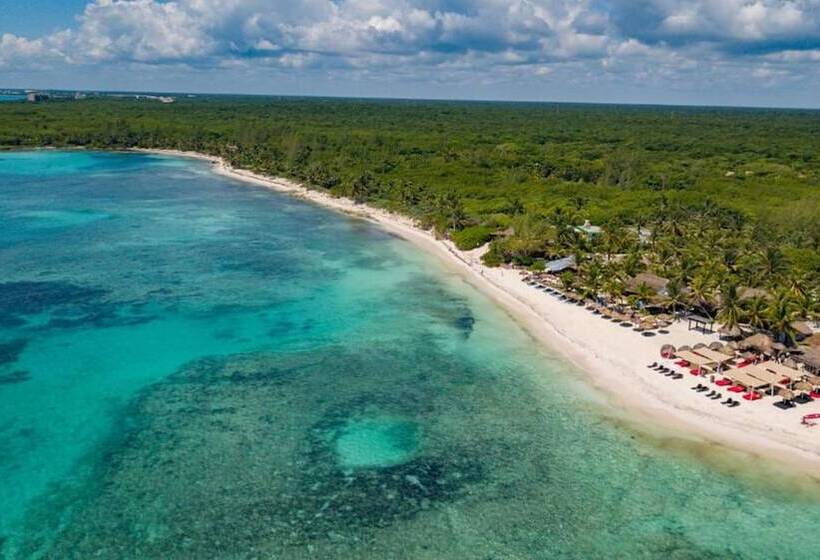 Szálloda Serenity Authentic Glamping Tulum