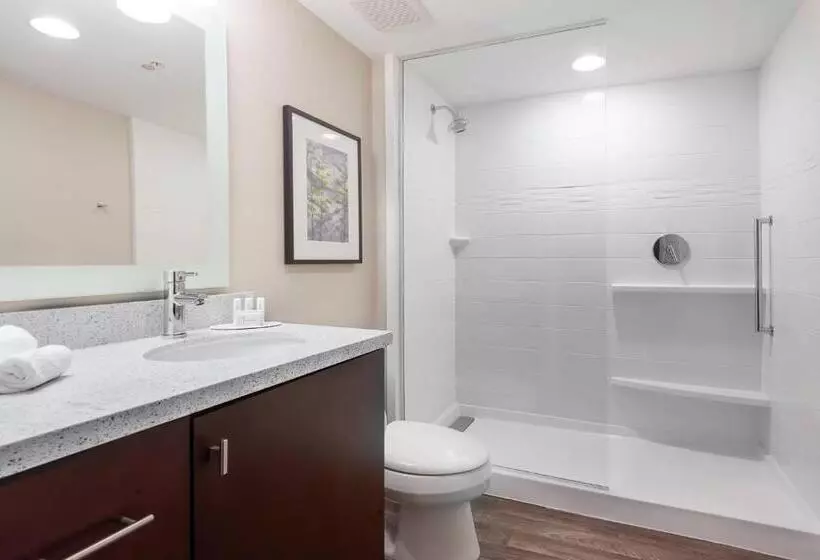 Hotelli Towneplace Suites By Marriott Austin Parmer/tech Ridge