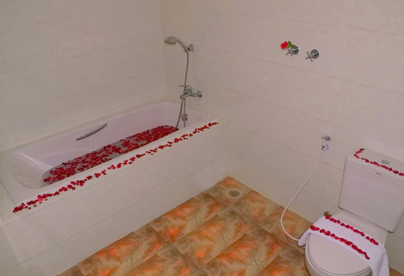 هتل Jade Royal  Monywa