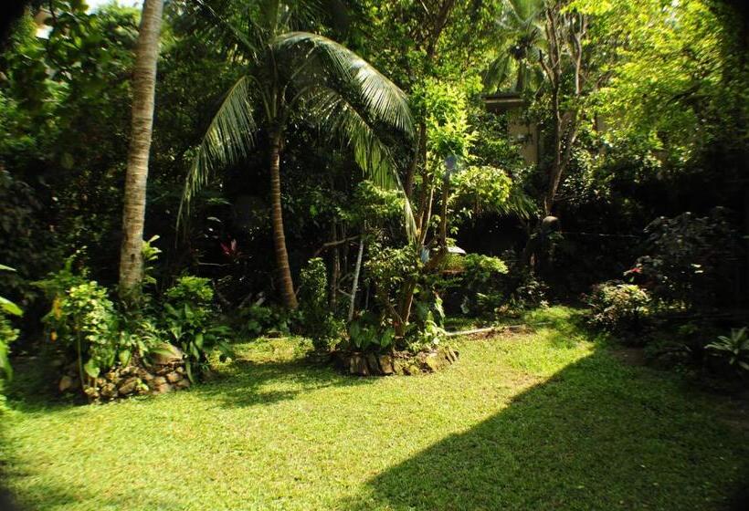 Kandy Shady Trees Villa