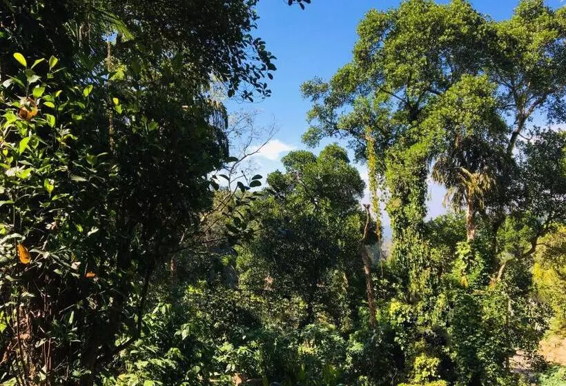 Kandy Shady Trees Villa