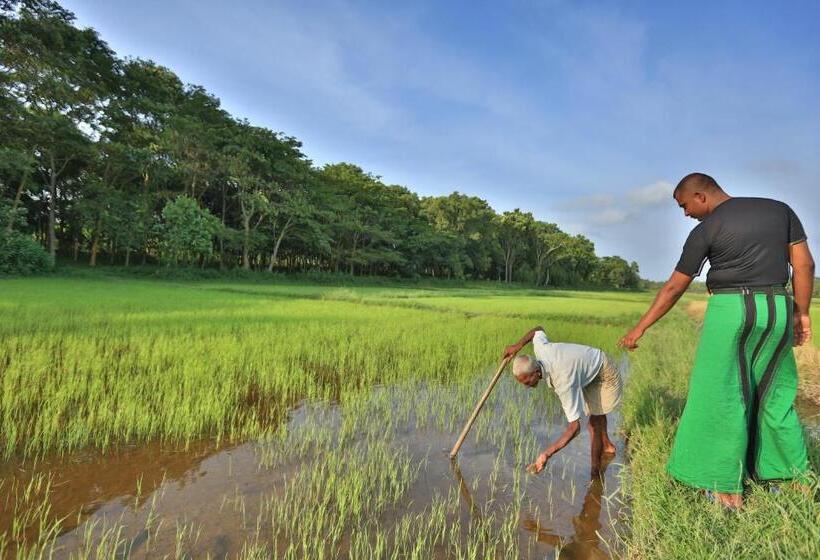 Пансион Horathapola Estate